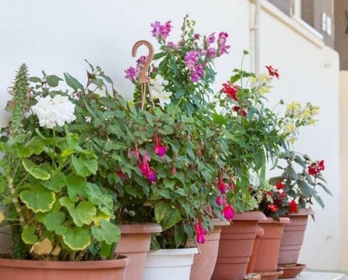 Rooms Alijev Split Dış mekan fotoğraf